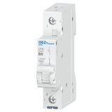 Miniature circuit breaker LTS-6B-1