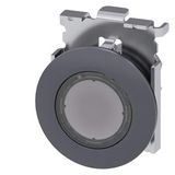 Pushbutton, illuminated, 30 mm, round, metal, matt, clear