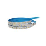 MARRA PRO II RGBW 14W/m 2000lm/m 4000K CRI>80 24VDC IP20 15m