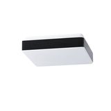 TILIA C1 LED-1L32C07NU2/PC32C 4000
