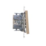 Single shielded computer socket RJ45 category 6 with anti-dust cover, (module), Inox, metallized