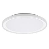 ORBIS PEDERSON 550MM 36W 830 WT OSRAM