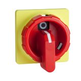 LOAD BREAK SWITCH HANDLE IEC + OPTIONS