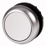 Pushbutton, RMQ-Titan, Flat, momentary, gray, Blank, Bezel: titanium