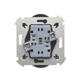 Double 2-pole switch, (module), 16AX, Screw, Silver matt, metalic