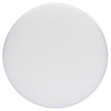 Polishing sponge with M14 thread 160 mm