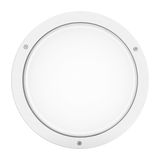 BLIZ ROUND 30 LED 22W 840 WIT