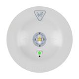 GuideLed SL 13821.2  1-8h/D CGLine+, round recessed mounting luminaire, with symmetric optics, 4000 K