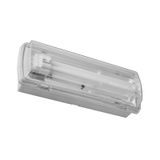 PANLUX Lamp FENIX 9W/2G7 120lm 1h emergency mounted with battery IP65