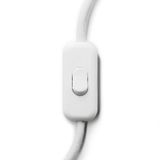 Double Pole in-line Switch
