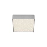 frameless LED surface light with starry decor, silver, 1xLED-platine/11W