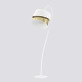 CANVA LP1 WHITE GOLD