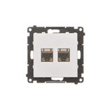 Double computer socket RJ45 category 6 with anti-dust cover, matt aluminum
