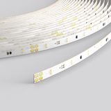 LED strip PRO LED L 5000 B 8 H 2 24 V / 102,50 W / 4000K