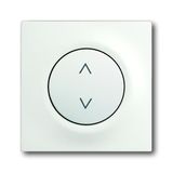 Busch-Timer®, Control elements solo®, Cover plate for Comfort Blind insert, grey metallic