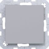 Blank plate with central plate, A.x/C.x, titanium
