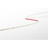 STRIP LED ACCENTO PRO