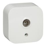 Television socket Forix - surface mounting - IP 2X - male connector - white