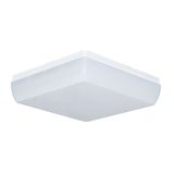 TREVOS LED lamp LINEA SQUARE 2500lm/840 IP54