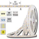 LED strip SMD5050 WW, 60LED/m, 14,4W/m, 1036lm/m, IP54, DC 12V, 10mm, 5m