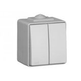 DOUBLE TWO-WAY SWITCH WHITE