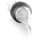 M3SS1-11C Selector Switch