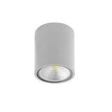 CEILING FIXTURE ORION 1xLED PX-0296-GRI FORLIGHT