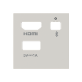 Cover plate for multimedia module - 2M - Dune