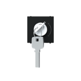 Key switch 2 positions - 2M - Matt Black