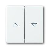 1785 JA-84-500 CoverPlates (partly incl. Insert) future®, Busch-axcent®, solo®; carat® Studio white