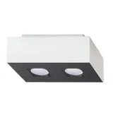 SPOT MONO 2 WHITE GU10 2X40W IP20