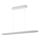 OFFICE LINE PANEL ELLIPSE 57W940DWTOSRAM