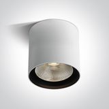WHITE COB 40W WW IP65 230V DARK LIGHT