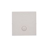 Single button for switches and push buttons, matt aluminum