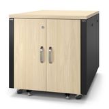 NetShelter Soundproof 12U 120 to 230V