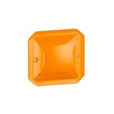 PLEXO DIFFUSER FOR PILOT LIGHT - ORANGE - MECHANISM