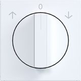 Central plate for blind rotary switch, A.x/C.x light white matte