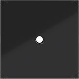 Central plate for switch/push button with pull handle, A.x/C.x, black glass.