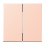 Friends of Hue radio transmitter LC32112 FOHLC995234