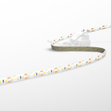 STRIP LED ACCENTO