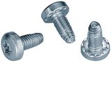 Sheet-metal screw M6x13 Torx T30 (50 pieces)