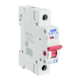DL 1P 100A FR/100A/1P switch disconnector