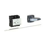P3 Main switch, 80 A,Rear mounting, 3 pole, Form M4/K2-G, Gray, Short 