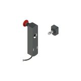 NS series safety locking switch, with actuator
