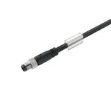 Sensor/actuator line, M8, Number of poles : 5, 3 m, pin, straight, Shielded: No, LED: No, Sheath material: PUR, Halogen: No