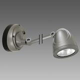ELFO+BRACCIO 1523 LED 49W CLD GRAFITE