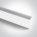 42002P/W WHITE P&P MAGNETIC PROFILE 62cm 48V IP20