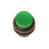 M22S-DLH-G Illuminated pushbutton actuator, RMQ-Titan, Extended, momentary, green, Blank, Bezel: black