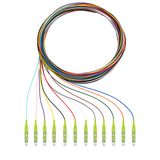 Pigtails, 12xLC, OM5, 2m 