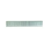 Skandia staples 8mm (1000pcs)